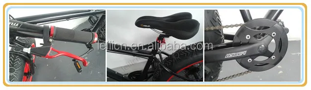fat bike 2.jpg