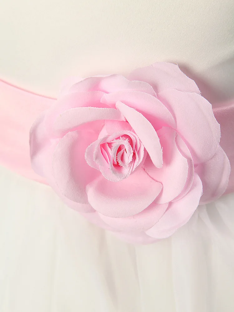 2739483099_407484580