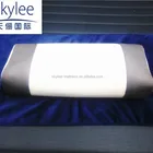Skylee SGS and Oeko-Tex Standard buckwheat pillow manufacturer