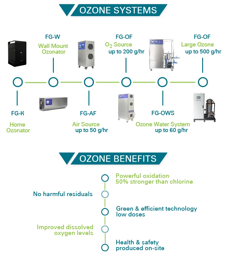 Ozone Generator for RAS