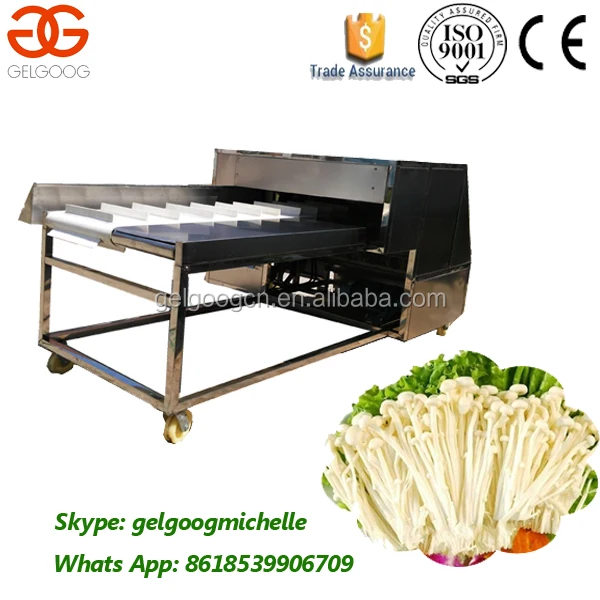 enoki mushroom machine