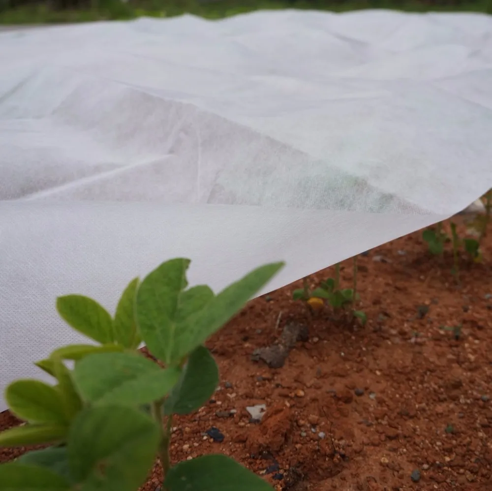 Agriculture Frost Protection Plant Cover Pp Spunbond Non Woven Fabric