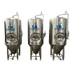 usa hot sales conical tank for beer brewing