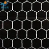 /product-detail/anping-hexagonal-mesh-gabions-mesh-chicken-wire-mesh-philippines-60732343129.html