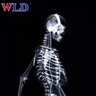 Manufacturer Wholesale medical hot sex x-ray film Price