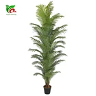 Manufacturer-Direct-Sale 2.8m Decorative Artificial Hawaii Kwai Plant