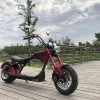 Adults road ready version foldable street legal EEC COC Electric motorcycle