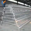 120 birds /cage poultry eggs chicken layer battery cages for sale