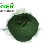 Natural Green Color Pigment Chlorophyll Paste Oil soluble