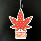 Multiple Perfumes hanging car air freshener