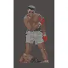 2018 Latest Greatest Boxer Men Muhammad ALI Rhinestone Transfer Design For Memory