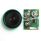 Customized recordable sound chip module for toys