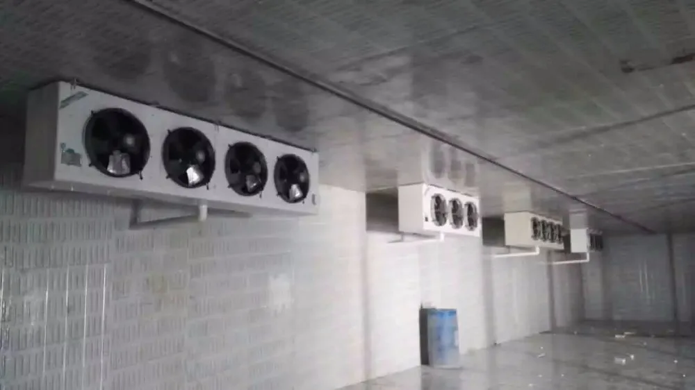 500T fruit and vegetable refrigerated cold room from china manufacturers
