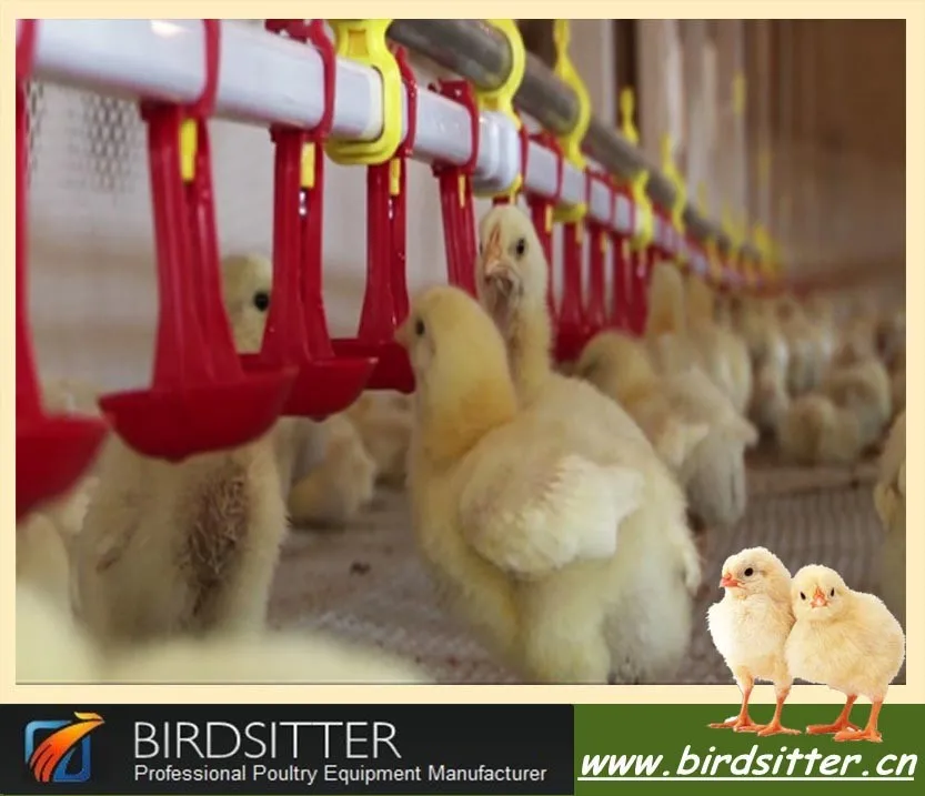 Iso9001資格birdistter自動ブロイラー給餌システムと飲料システム仕入れ・メーカー・工場