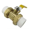 /product-detail/ppr-female-union-brass-ball-valve-60739896258.html