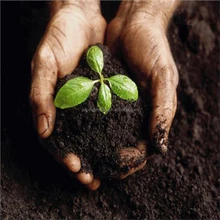 china produce fertilizer/agricultural gypsum/calcium sulfate