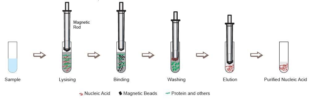 Nade Nucleic Acid Extractor/Nucleic Acid Purification System Auto-Pure32A