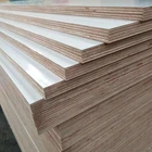 15mm/16mm/18mm E1 glue double side/single side twin/okume white color hpl laminate hpl plywood