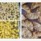 Best And Service Solar Pet Food Drying Machine for cat food drying machine and dog food dryer/corn dryer machine