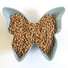 Walnut Shell polishing media(dry polishing)