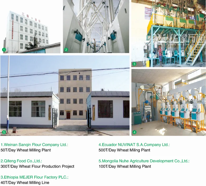 wheat flour mill projects 