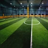 UV Stabilized Roof Five A Side Soccer Football Grass S C shape Futsal Synthetic Turf