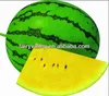 /product-detail/planting-your-own-hybrid-f1-yellow-meat-watermelon-seeds-water-melon-seed-for-sale-1469981242.html