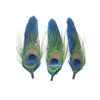 Wholesale A-277 Peacock Feather Hat Trim With Delicate Design Customized OEM Feather Pick