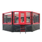 Customized Martil arts Muay Thai Octagon MMA Cage