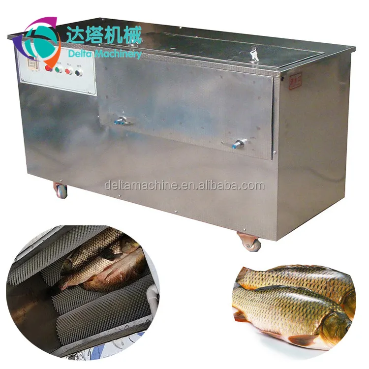 Industrial Tuna fish processing machine to remove fish scales,automatic brush type fish scaler