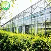 High light transmittance low cost widely used commerical glass greenhouse