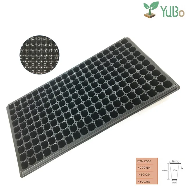 tray plant,robertplant fruit tray plant