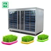 Commercial Seed Germination Machine Automatic Bean Sprout Maker Fodder Sprouting Machine