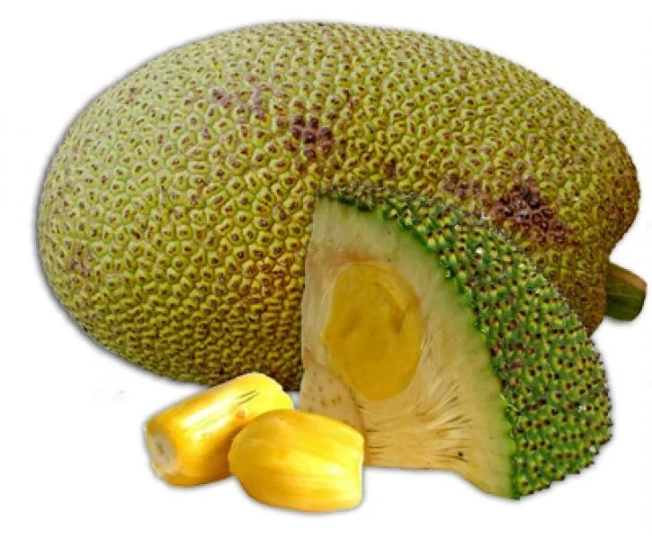 thailand jackfruit