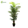 /product-detail/2019-shenzhen-artificial-plastic-leaf-wholesale-top-plant-indoor-palm-tree-60827970890.html