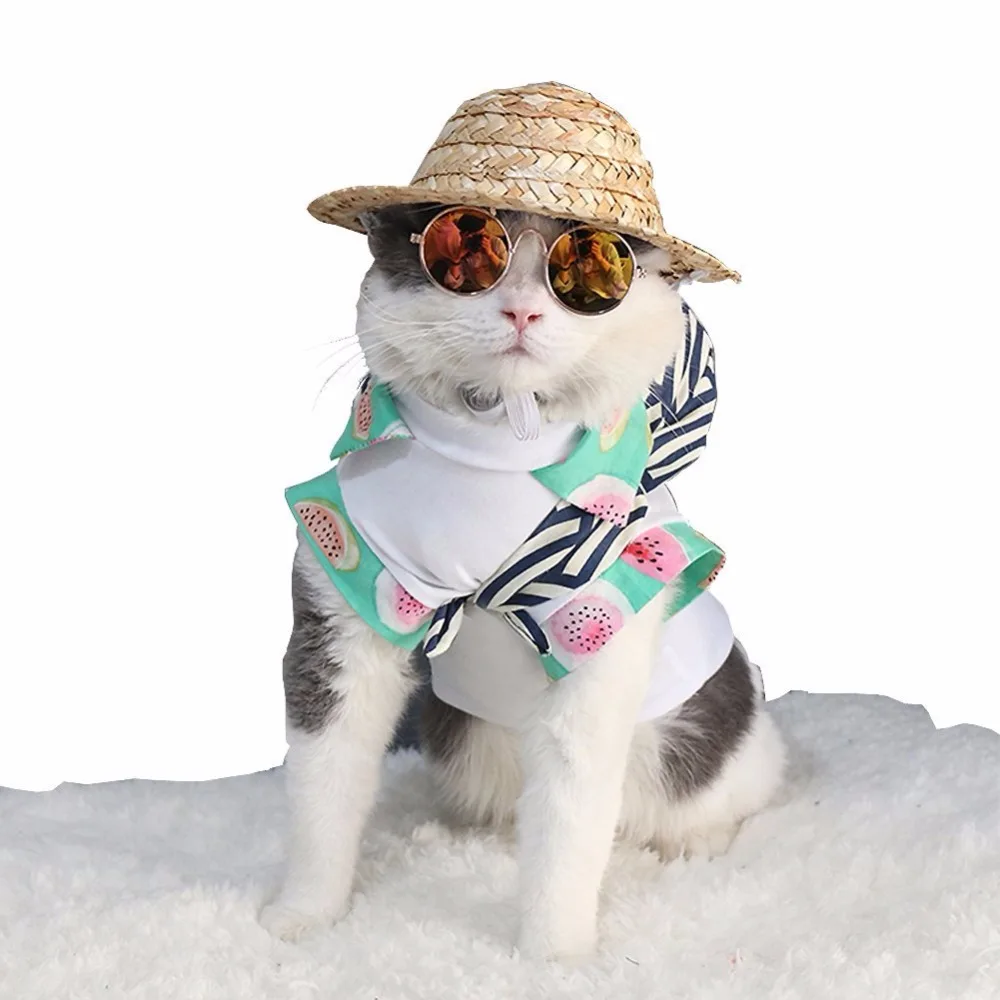 615%2B%2B6X0niL._SL1001_