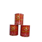 3000g Direct sale by manufacturer canned food tomato paste
