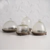 rustic Metal Tray deco food plate with clear glass dome