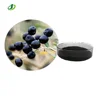 /product-detail/organic-black-goji-berry-concentrate-extract-powder-62127900019.html