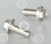 Hex Flange Bolt in A2-70
