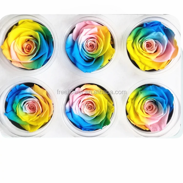wholesale 5-6cm rainbow and colorful rose preserved flower for