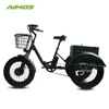 Changzhou electric bike 3 wheel electric bicycle 250 350w 500w 750w