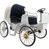 /product-detail/electric-vehicle-electric-sightseeing-carriage-horse-carriage-60823085052.html