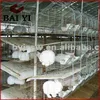 /product-detail/large-scale-rabbit-breeding-hutch-524810379.html