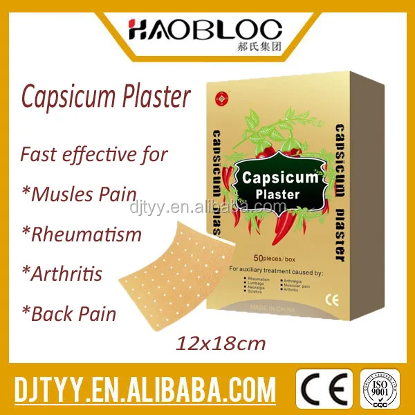 Back Pain Capsicum Plaster   .jpg