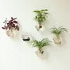 /product-detail/aquarium-products-wall-mounted-custom-glass-fish-bowl-flower-plants-fish-tank-60833552269.html