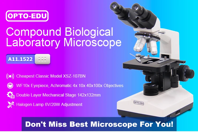Biological Microscope xsz-107bn