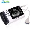 /product-detail/portable-veterinary-ultrasound-scanner-bo-vb01plus-60696551917.html