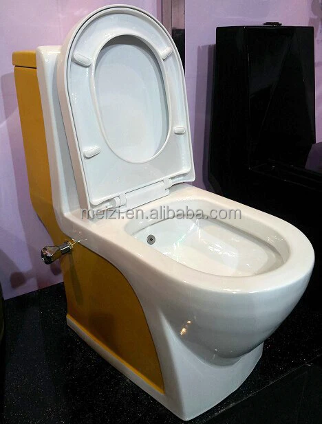 Sanitary ware one piece washdown toilet with bidet