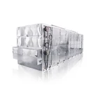 High Efficiency Continuous Vegetable Flakes Ginger Dehydration Machine